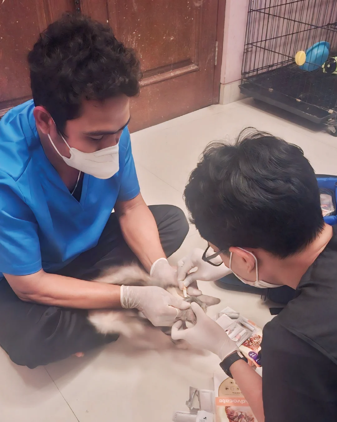 dokumentasi-paravet-18 (1)