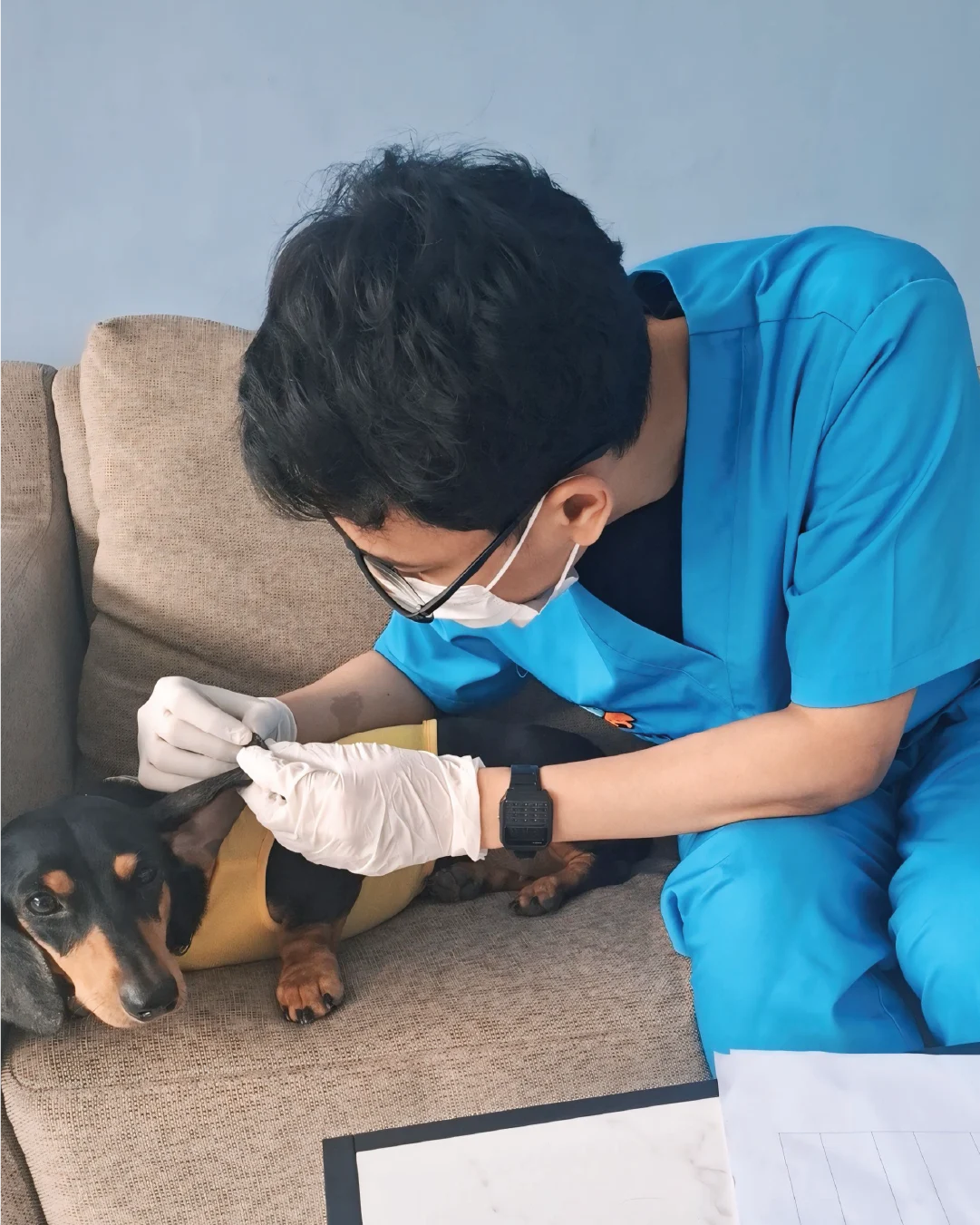 dokumentasi-paravet-20 (1)