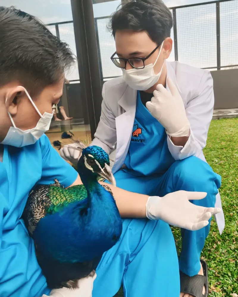 dokumentasi-paravet-home-visit-02