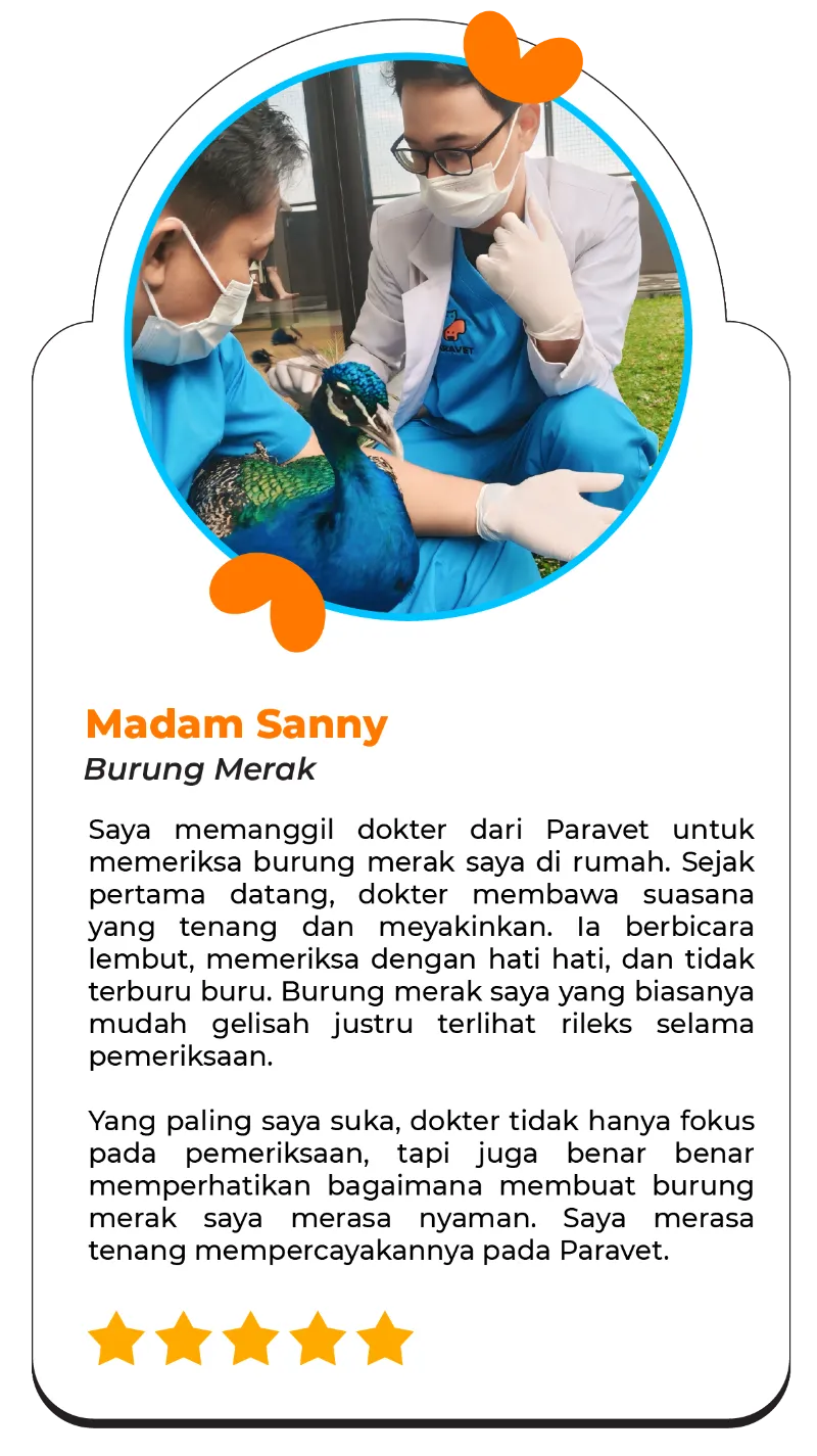 testi-home-visit-mobile-001