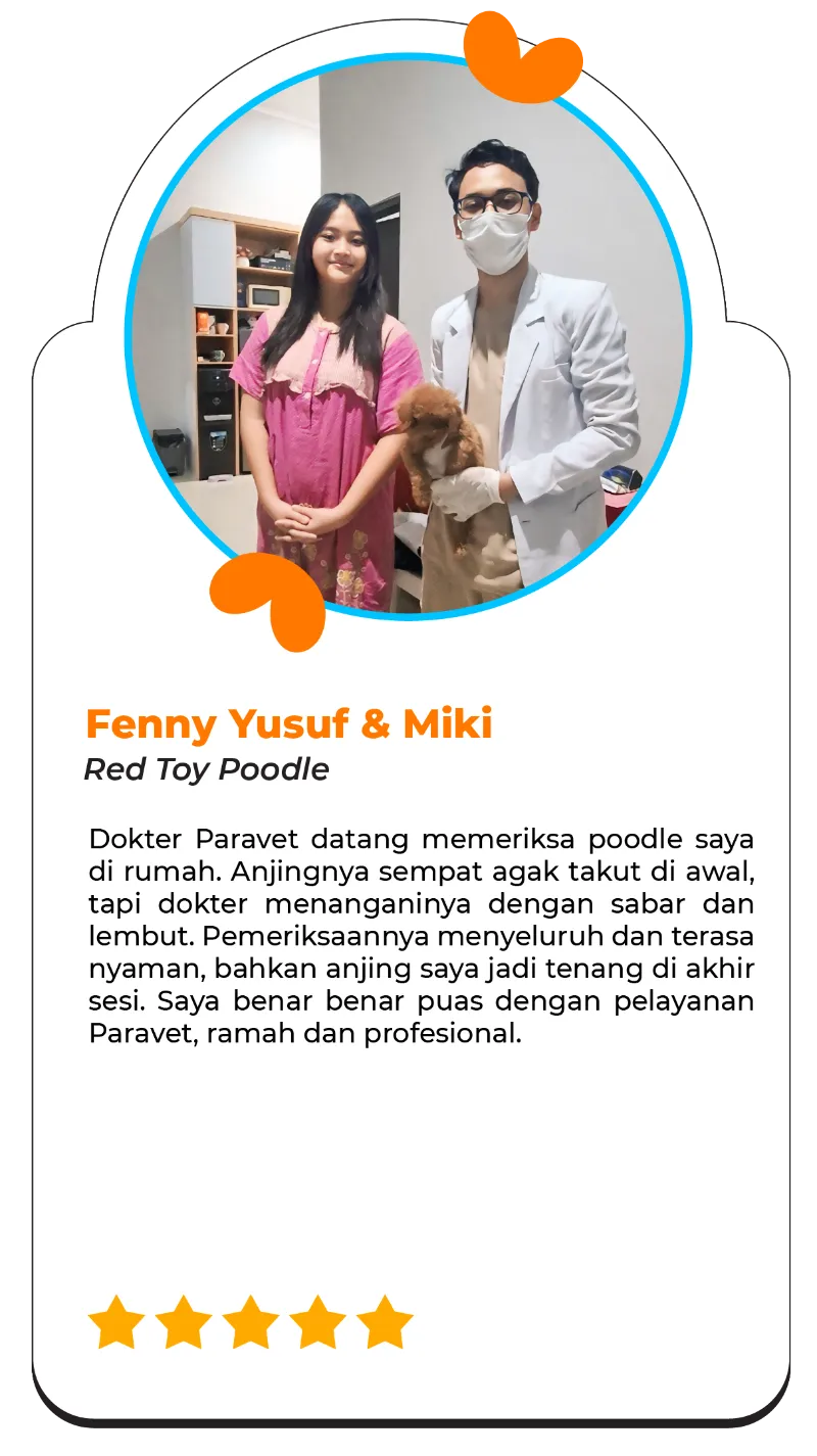 testi-home-visit-mobile-002