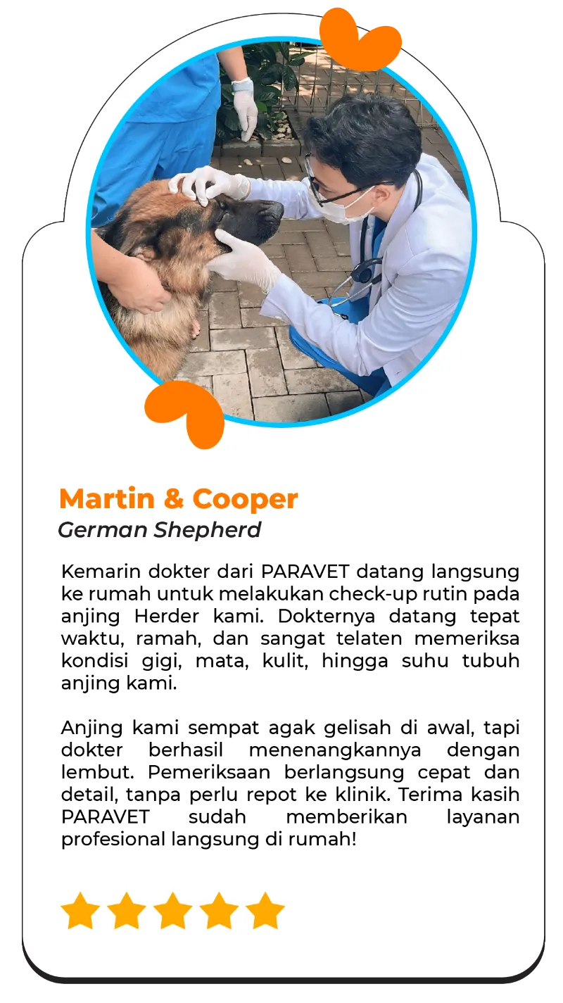 testi-home-visit-mobile-003