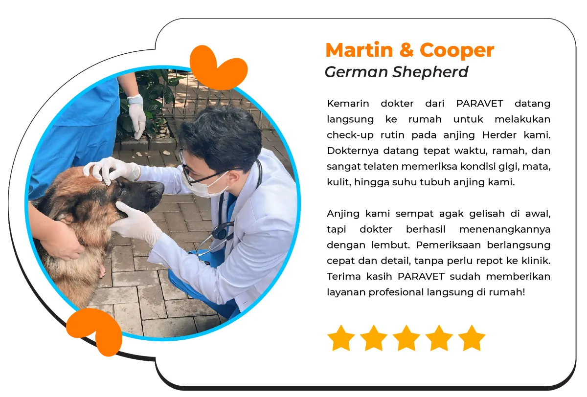 testimoni-home-visit-01