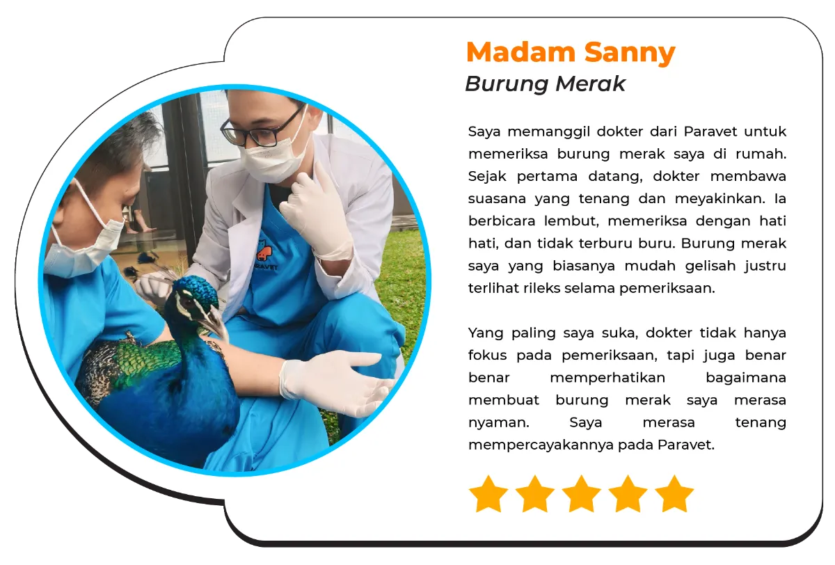 testimoni-home-visit-02